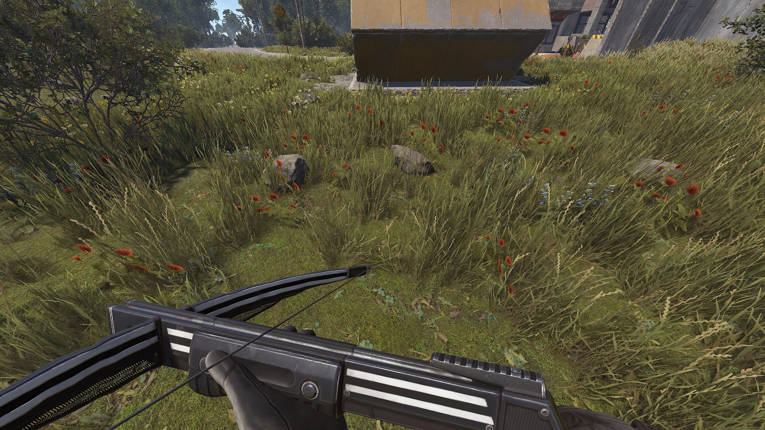 Training Crossbow thumbnail 4