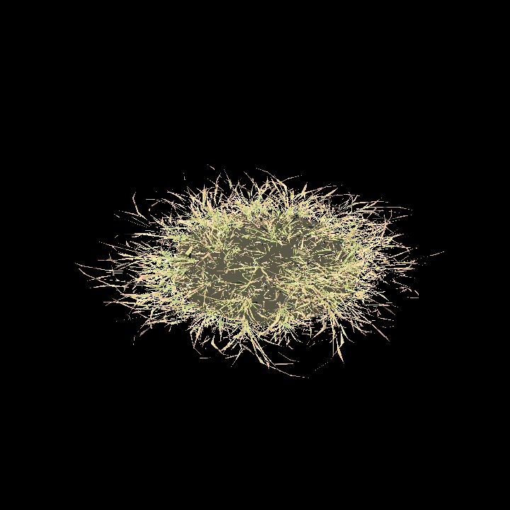 Clump of grass 3