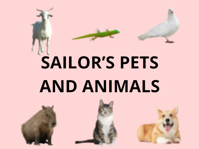 Sailor's Pets and Animals