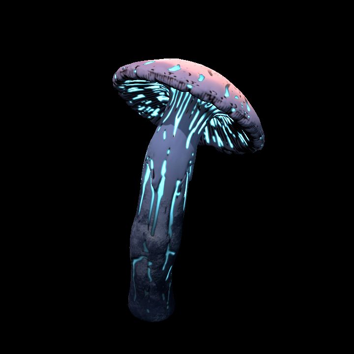 Mushroom_Middle_5_2