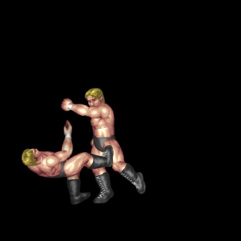 Apron Lariat 1