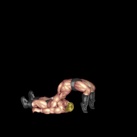 Arm Hold Northern Light Suplex