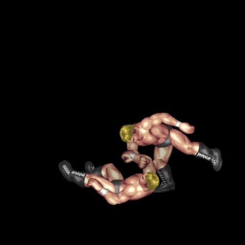 Arm Wrench Arm Whip