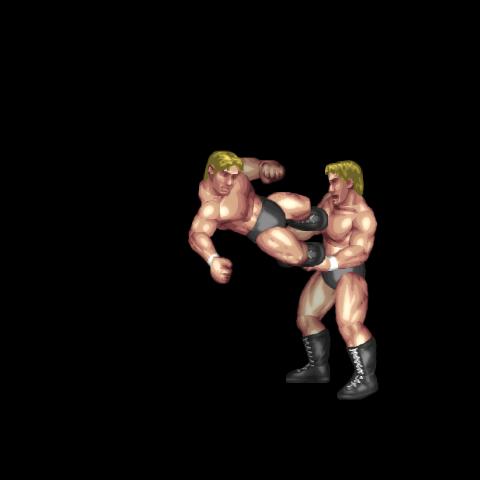 Counter Dropkick