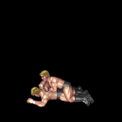 Hammerlock_Mount