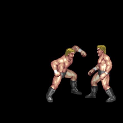 ProWres Jab