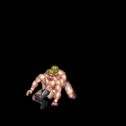 Takedown Reversal
