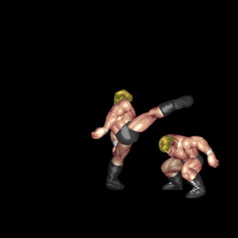Middle Kick Whiff