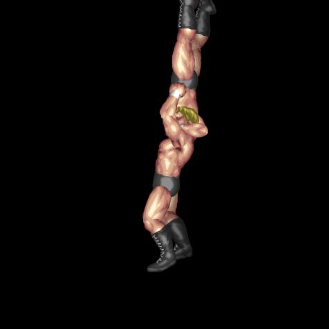 Brainbuster (DownAttack)
