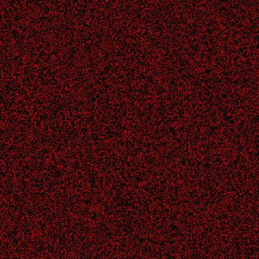 Carpet 05