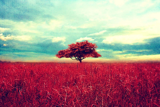 Red Tree