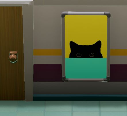 Cat Peeking