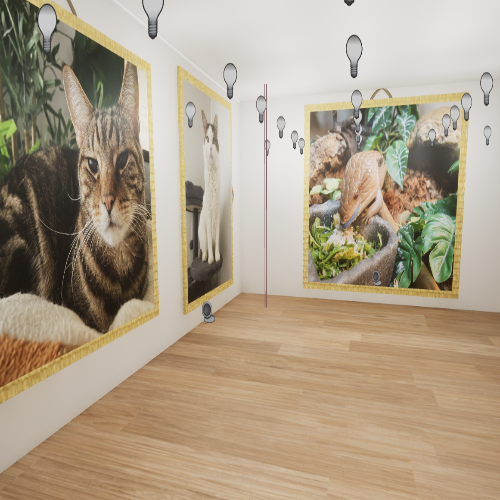 Animal Gallery
