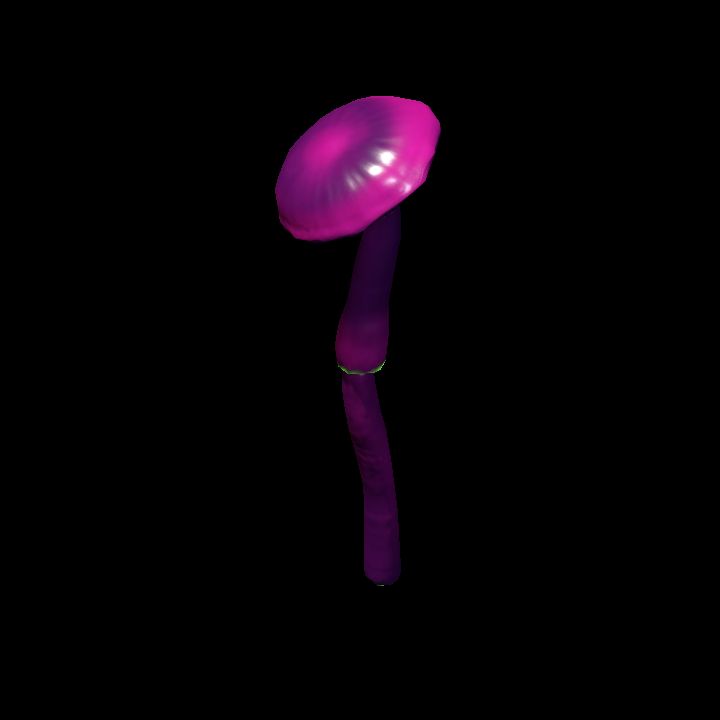 Mushroom_Small_4_4