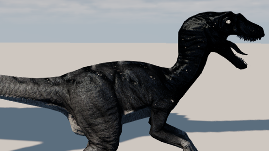 midnight nova scale