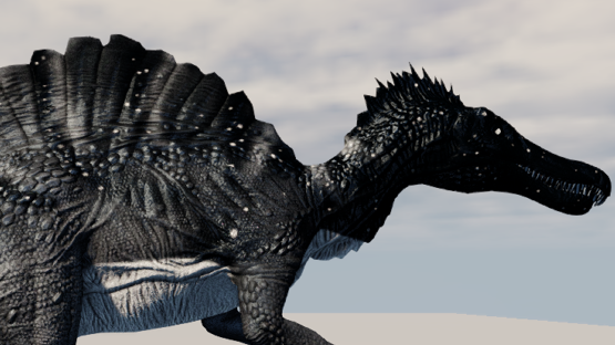 midnight spino