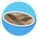 Modern oval rug