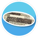 Modern Oval rug 2