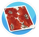Red flower rug