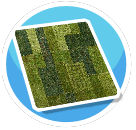 Green rug 2