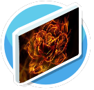 Fire flower painting 11