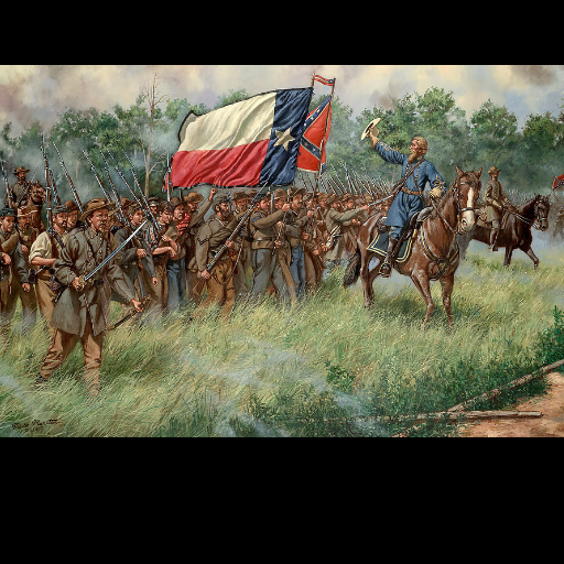 Hood's Texas Brigade