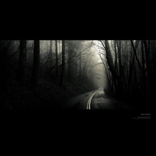 荆棘之路The road of thorns