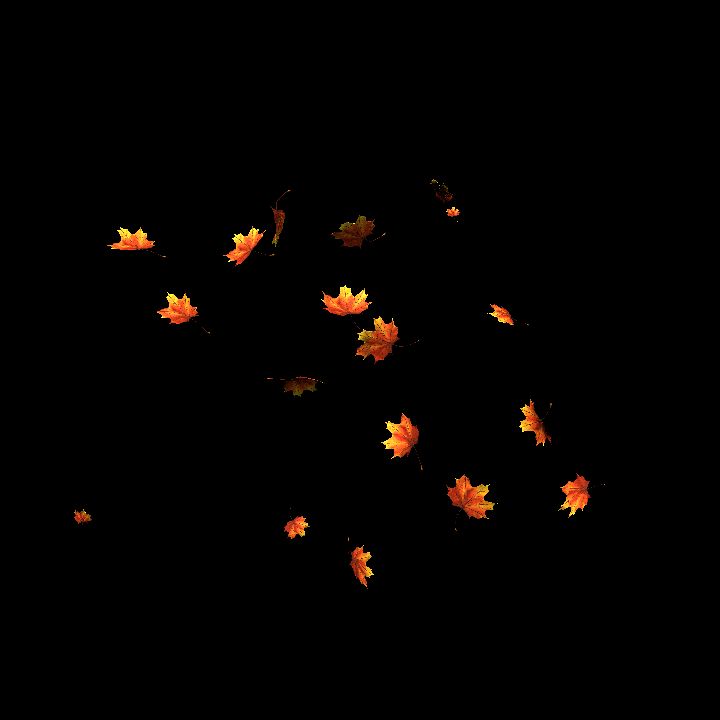 Falling leaves (animated) - collider preview