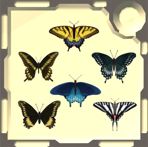Butterflies