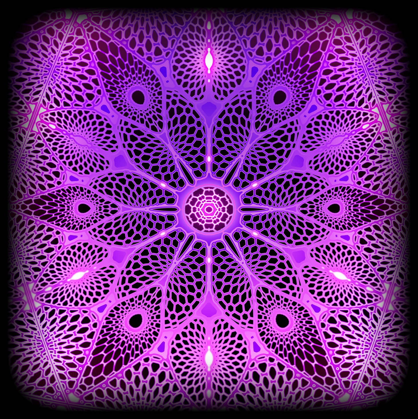 Metatron's Hypercake