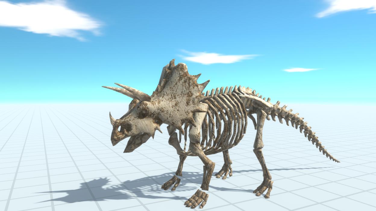 SkeleTops