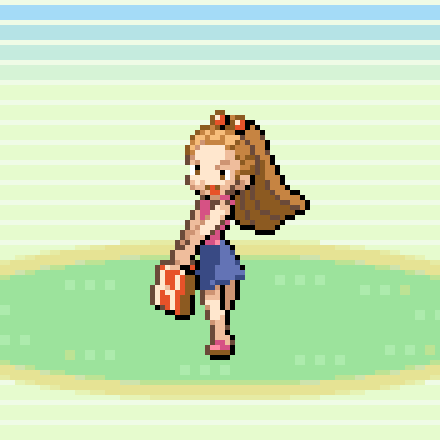 Trainers' School