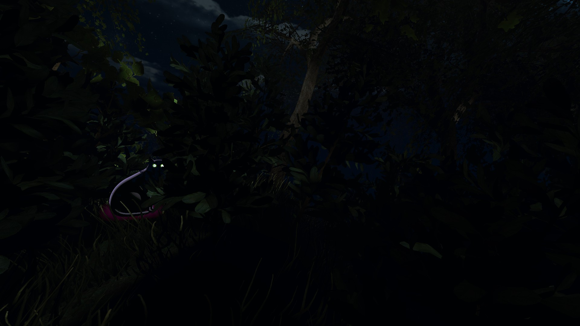 Enemy Forest