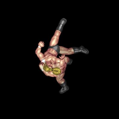 Arm Triangle Suplex