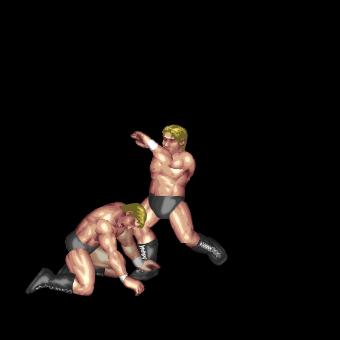 Middle Kick to the Chin
