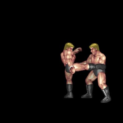 Low Mid Round Kick Combo