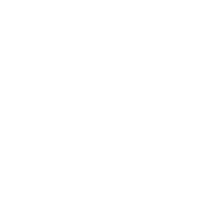 Runic Modules