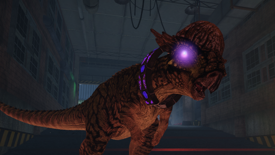 Pachy Control Collar (Free drop)