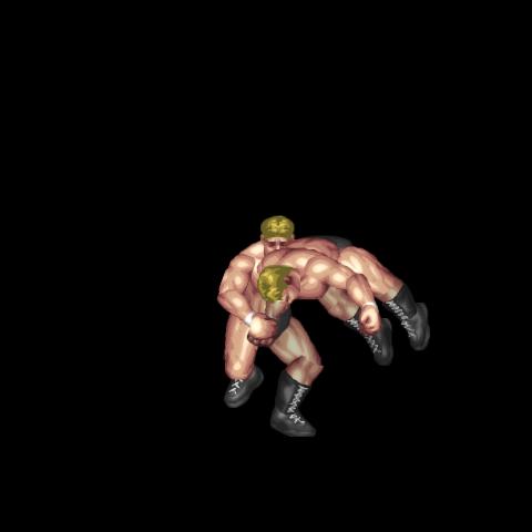 Arm Breaker Whip