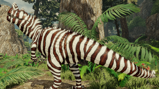 Zebra Murene Cerato