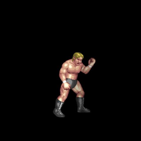 Fist Shake