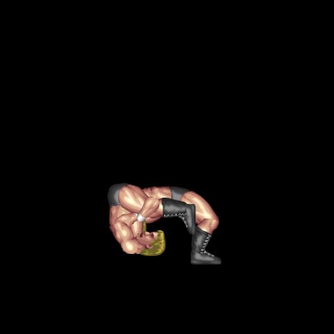 Rapid Powerbomb Whip Jackknife