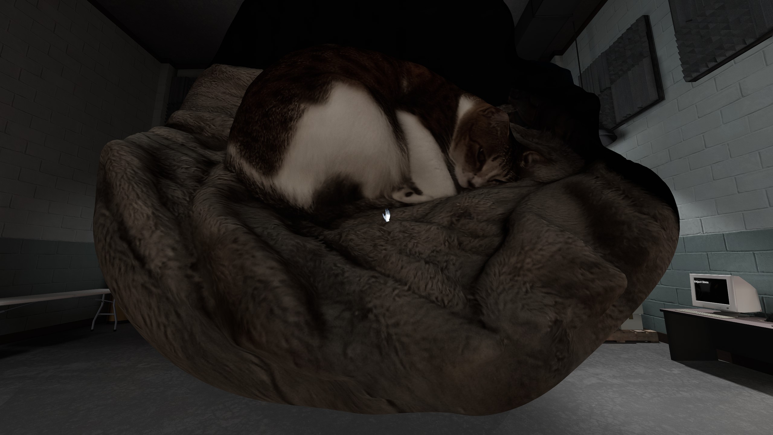 lovely cat