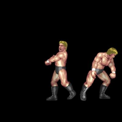 Tanahashi Slap (clincher)