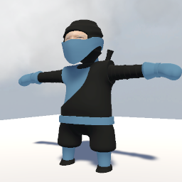 ninja biden