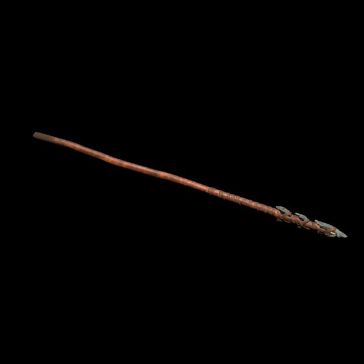 Weapon, Spear, Stone, Primitive 1