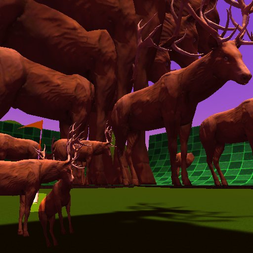 Oh Deer 5