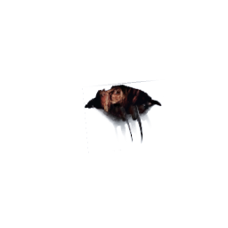 Freddy Kreuger Slasher Decal