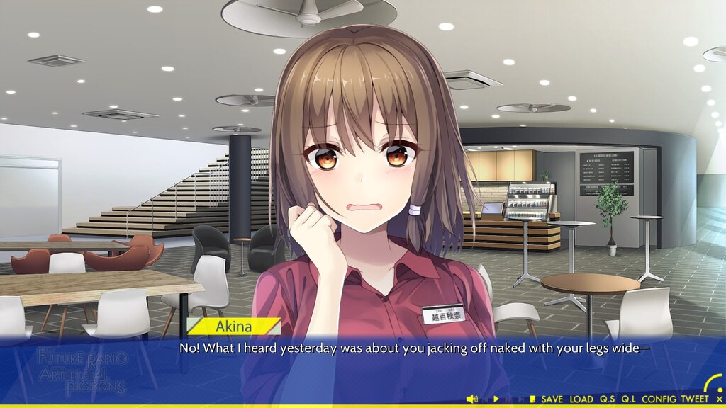 Steam コミュニティ :: 未来ラジオと人工鳩