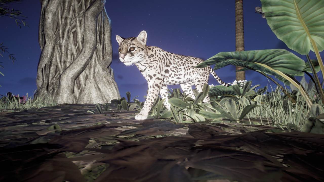 ocelot diorama preview